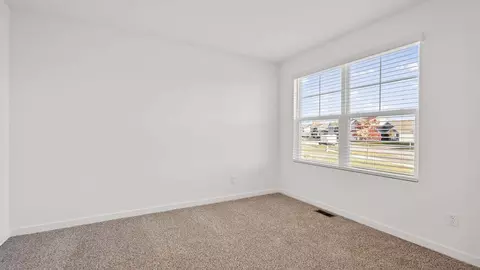 1371 Rolling Pass, Beecher, IL 60401 photo 35