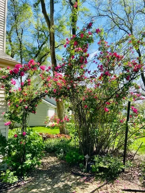 Exterior - 997 S Hampton Ct, Aurora, IL 60506 photo 13 of 17