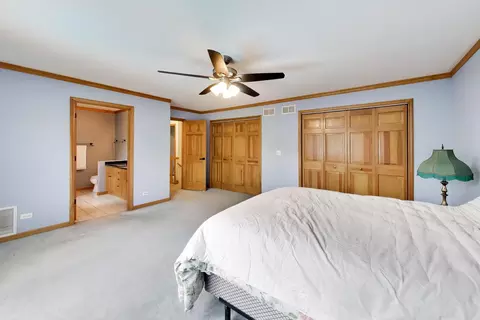 Bedroom - 24902 W Ambrose Rd, Plainfield, IL 60585 photo 3 of 9