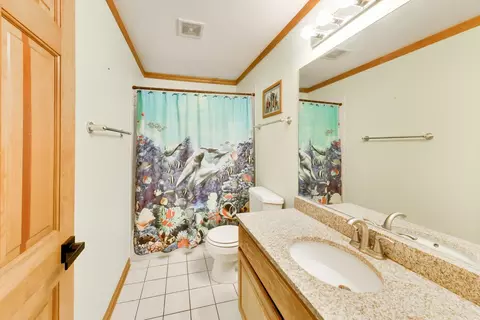 Bath - 24902 W Ambrose Rd, Plainfield, IL 60585 photo 3 of 3