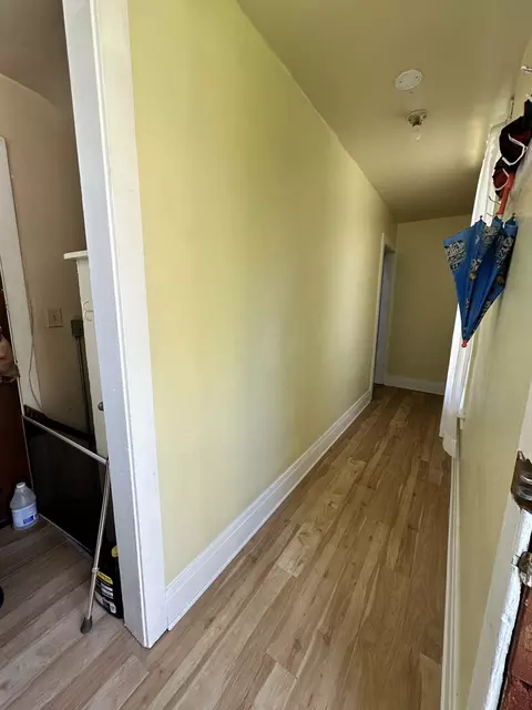 Entry Way - 419-421 N Spring St, Elgin, IL 60120 photo 3 of 4