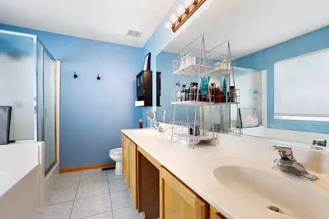 Bath - 2306 Maple Ridge Dr, Plainfield, IL 60586 photo 2 of 4