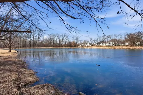 View/Area - 12312 Blue Iris Ln, Plainfield, IL 60585 photo 5 of 7
