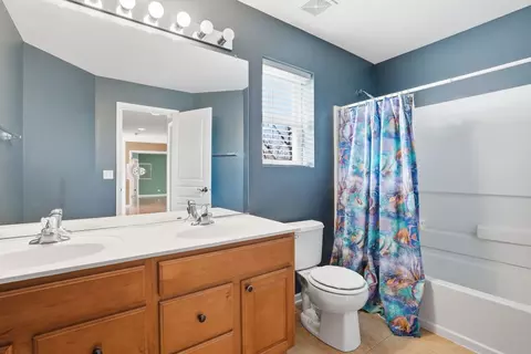 Bath - 12312 Blue Iris Ln, Plainfield, IL 60585 photo 4 of 5