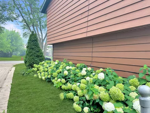 Exterior - 2402 Birch Ln, Rolling Meadows, IL 60008 photo 6 of 8