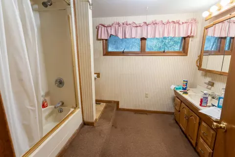 Bath - 414 N 3rd Ave, Chenoa, IL 61726 photo 1 of 1