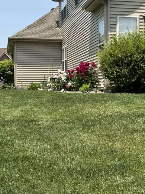 Exterior - Undisclosed, Plainfield, IL 60585 photo 8 of 15