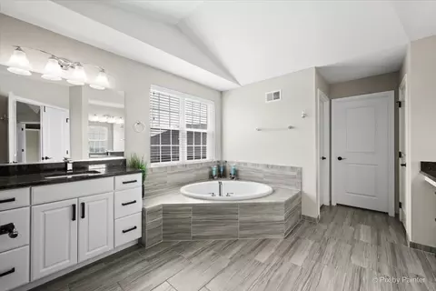 Bath - 1451 Bethpage Cir, Elgin, IL 60124 photo 2 of 8