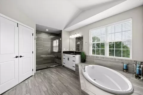 Bath - 1451 Bethpage Cir, Elgin, IL 60124 photo 4 of 8