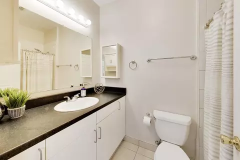 Bath - 2927 N Gresham Ave #1, Chicago, IL 60618 photo 1 of 2