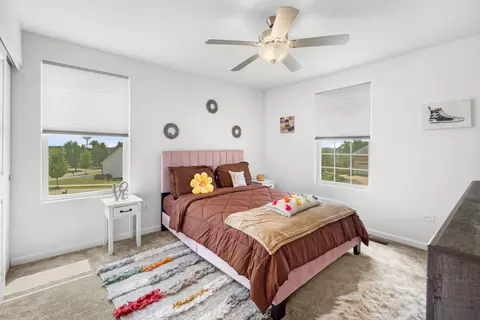 Bedroom - 27018 W Rustic Wood Ln, Plainfield, IL 60585 photo 3 of 4