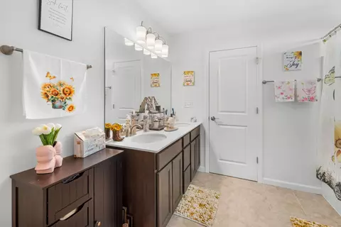 Bath - 27018 W Rustic Wood Ln, Plainfield, IL 60585 photo 3 of 3