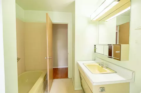 Bath - 2203 Kirchoff Rd, Rolling Meadows, IL 60008 photo 2 of 3