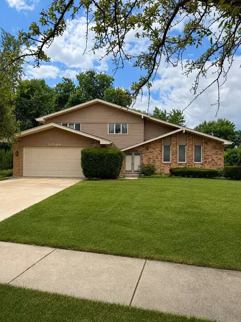 12548 W Morgan Ct, Homer Glen, IL 60491