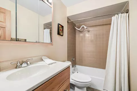 Bath - 204 E 32nd St, Chicago, IL 60616 photo 3 of 4