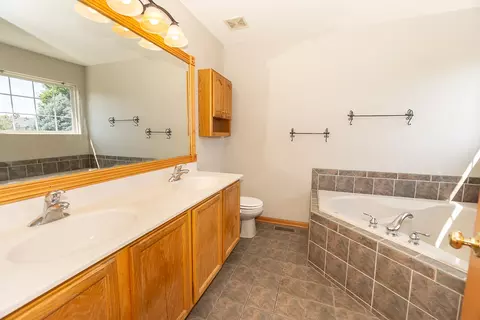 Bath - 1808 Arbor Gate Dr, Plainfield, IL 60586 photo 4 of 5