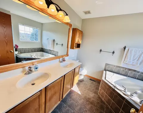 Bath - 1808 Arbor Gate Dr, Plainfield, IL 60586 photo 3 of 4