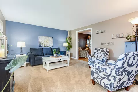 Living - 1607 Sierra Highlands Ct, Plainfield, IL 60586 photo 2 of 3
