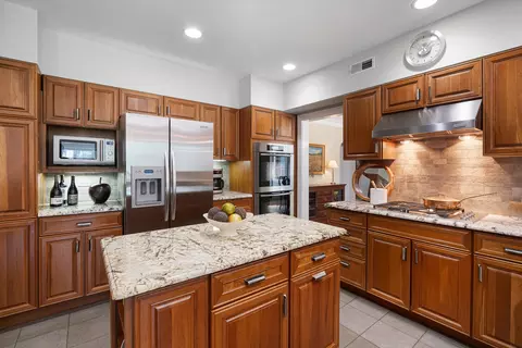 Undisclosed, River Forest, IL 60305 photo 13