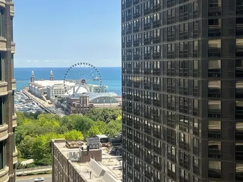 View/Area - 400 E Ohio St #2003, Chicago, IL 60611 photo 5 of 6