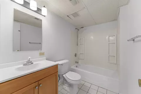 Bath - 5037 W Herbert Ct, Monee, IL 60449 photo 5 of 5