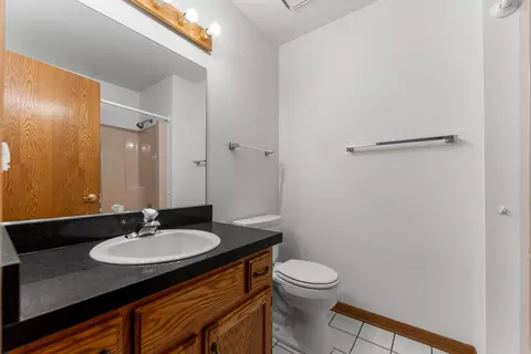 Bath - 5037 W Herbert Ct, Monee, IL 60449 photo 4 of 5