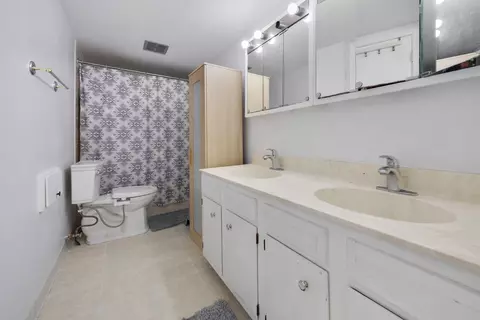 Bath - 369 Cedar Tree Ct, Hoffman Estates, IL 60169 photo 2 of 2