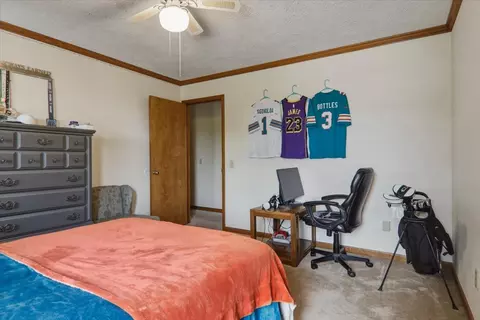 Bedroom - 302 Ceilo View St, Colfax, IL 61728 photo 5 of 6