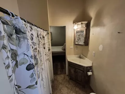 Bath - 207 S Emma St, Christopher, IL 62822 photo 1 of 4
