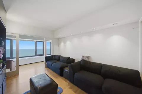 Living - 175 E Delaware Pl #6504, Chicago, IL 60611 photo 4 of 4