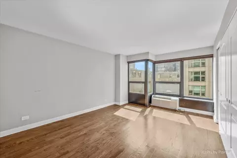 Other - 30 E Huron St #1207, Chicago, IL 60611 photo 4 of 7