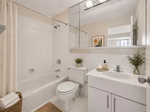 Bath - 40 E 9th St #1512, Chicago, IL 60605 photo 1 of 2