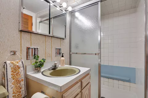 Bath - 326 E Alden Dr, Addison, IL 60101 photo 2 of 3