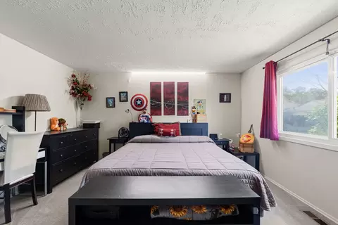Bedroom - 116 Cloverleaf Rd, Matteson, IL 60443 photo 4 of 4