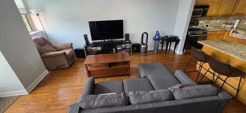 Living - 500 S Clinton St #226, Chicago, IL 60607 photo 2 of 4