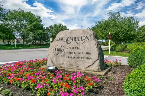 View/Area - 13339 Red Cedar Ln, Plainfield, IL 60544 photo 8 of 9
