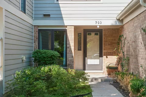 703 Caliente Ct #115B, Libertyville, IL 60048