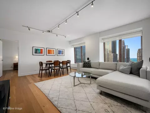 Living - 161 E Chicago Ave #26G, Chicago, IL 60611 photo 1 of 4