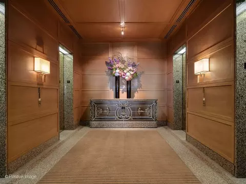 Entry Way - 161 E Chicago Ave #26G, Chicago, IL 60611 photo 3 of 3