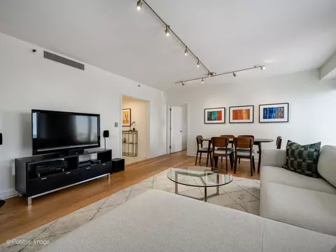 Living - 161 E Chicago Ave #26G, Chicago, IL 60611 photo 2 of 4