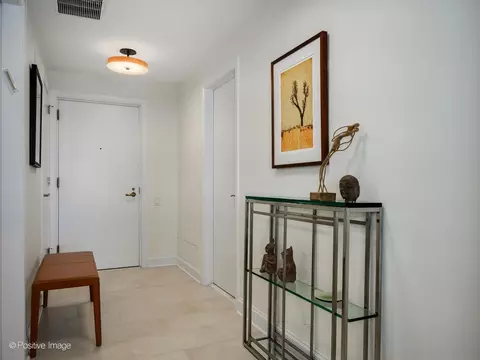 Entry Way - 161 E Chicago Ave #26G, Chicago, IL 60611 photo 1 of 3