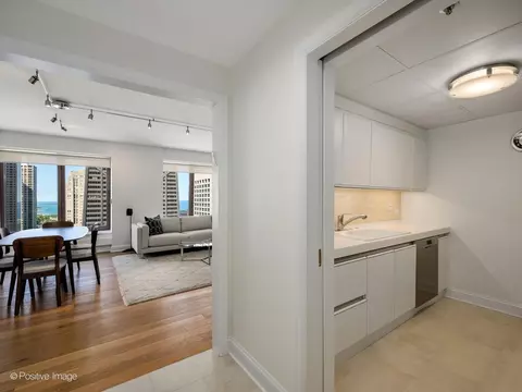 Entry Way - 161 E Chicago Ave #26G, Chicago, IL 60611 photo 2 of 3
