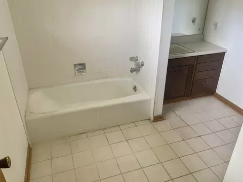 Bath - 747 Palace St, Aurora, IL 60506 photo 2 of 3