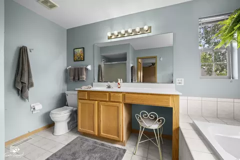 Bath - 16511 W Springview Dr, Lockport, IL 60441 photo 2 of 5