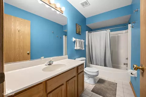 Bath - 16511 W Springview Dr, Lockport, IL 60441 photo 4 of 5