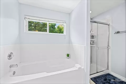 Bath - 3825 Deville Ln, Saint Charles, IL 60175 photo 3 of 4