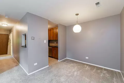 1464 Stonebridge Cir #E3, Wheaton, IL 60189 photo 3