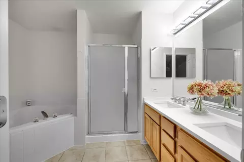 Bath - 2034 Ivy Ridge Dr, Hoffman Estates, IL 60192 photo 2 of 4