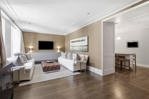 Other - 159 E Walton Pl #8D, Chicago, IL 60611 photo 5 of 7