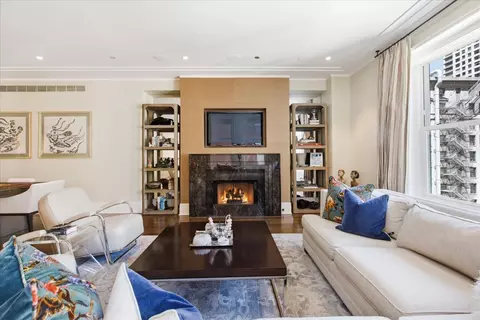 Living - 159 E Walton Pl #8D, Chicago, IL 60611 photo 4 of 6